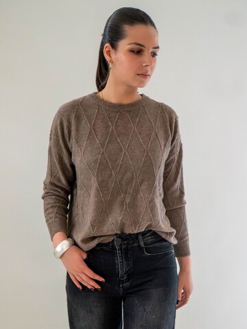 WEARABLE STORIES Trui 'Manou' in Grijs