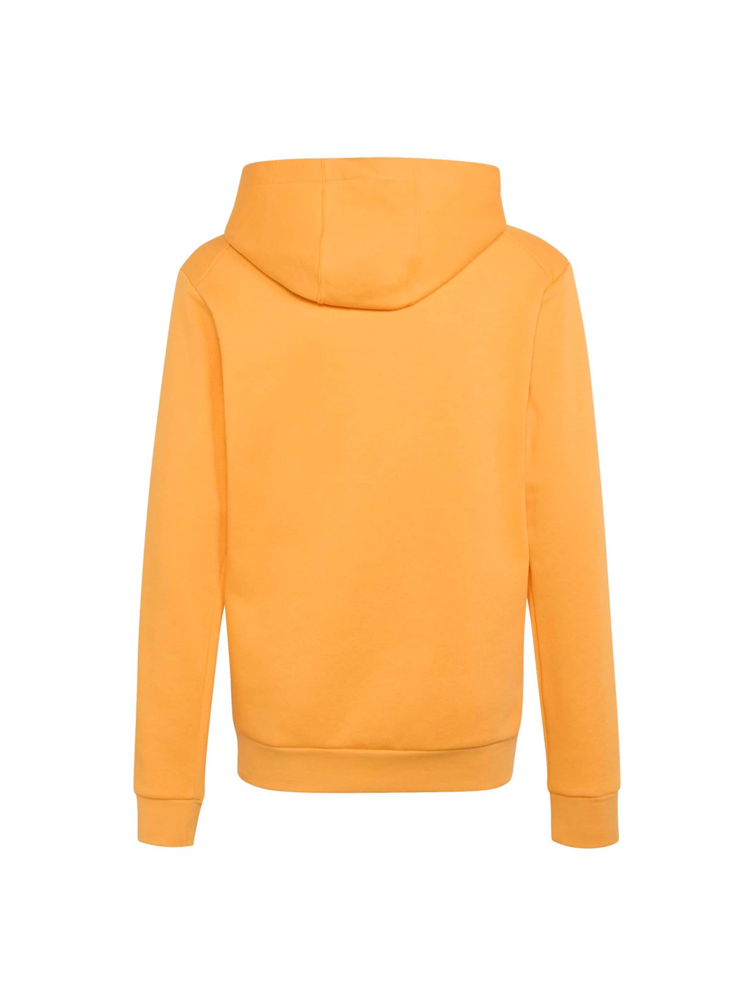 ADIDAS TERREX Spordidressipluusid, värv oranž