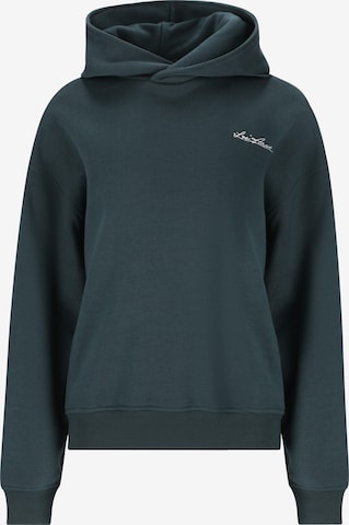 Les'Arcs Hoodie 'Geridan' in Grün: Vorderseite