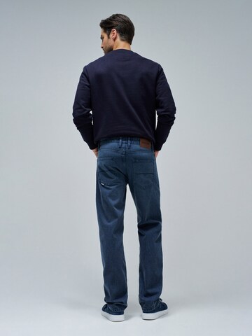Salsa Jeans Regular Jeans in Blauw