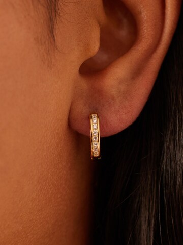 Lucardi Earrings in Gold: front