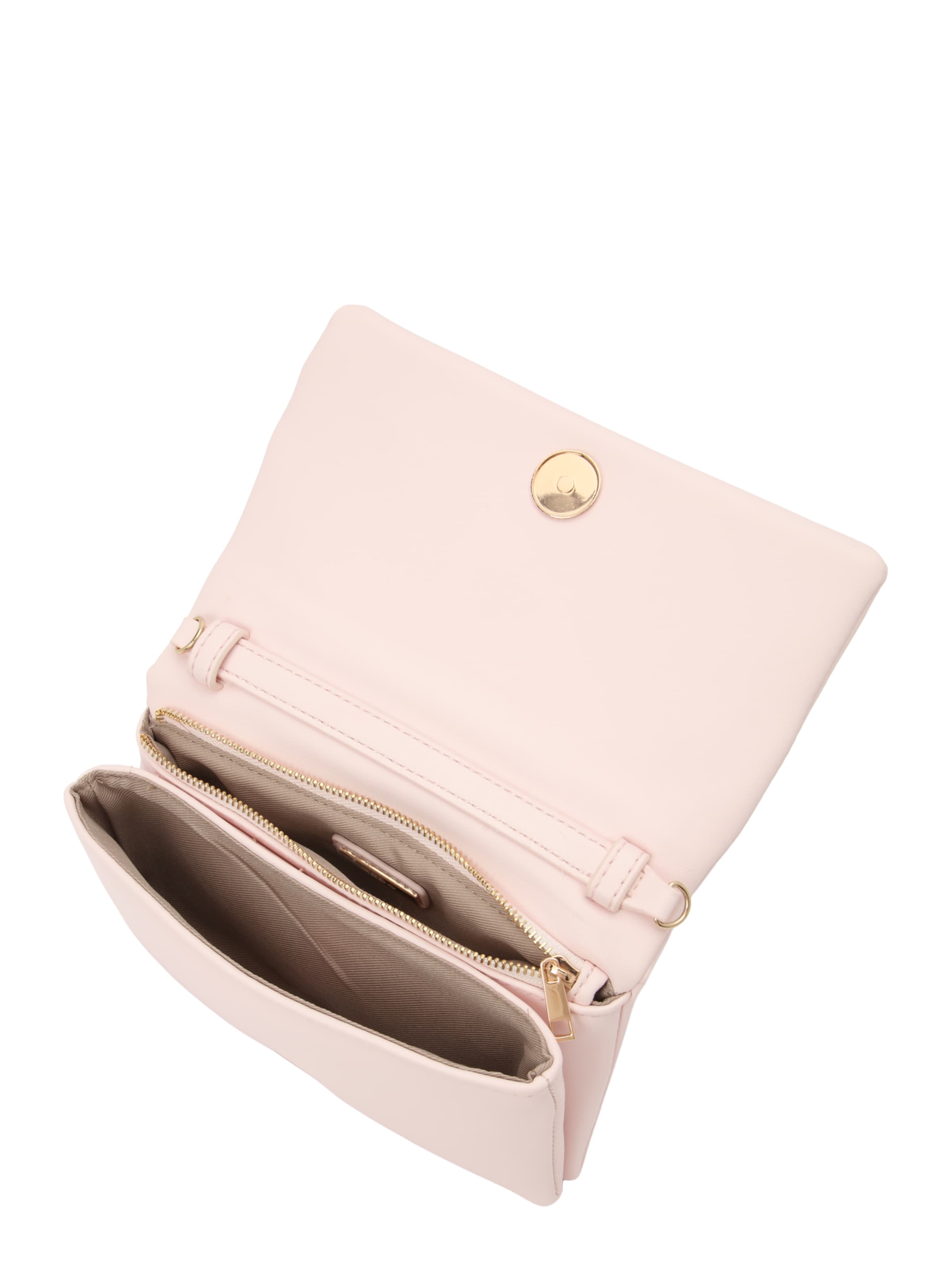 ALDO Τσάντα χειρός 'LOLLY' σε ροζ