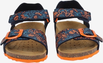 GEOX Sandals & Slippers in Blue