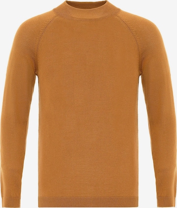 ruda Antioch Megztinis: priekis