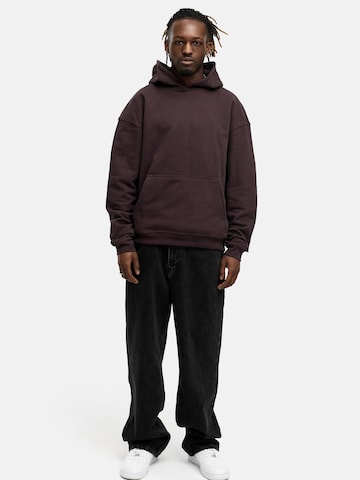 Daily Cotton Sweatshirt 'DCAUSTIN'‌ in Braun