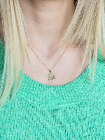 Lucardi Hangers 'Klassisch' in Goud: voorkant