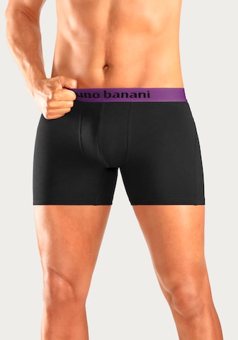 BRUNO BANANI - Calzoncillo boxer en negro: frente