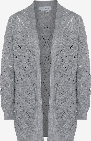 caneva Knit Cardigan in Grey: front