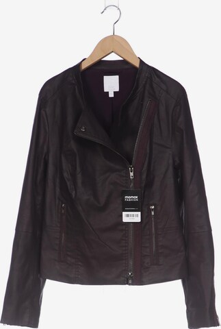 ALBA MODA Jacket & Coat in L in Purple: front