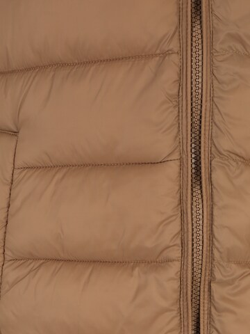 Gilet 'MELODY' di Only Tall in marrone