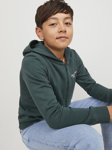 Jack & Jones Junior Sweatjakke 'Lakewood' i grøn