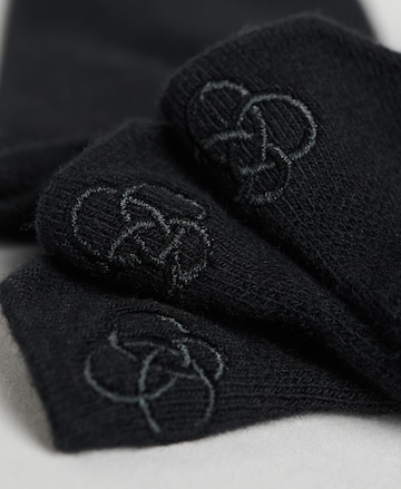 Superdry Socks in Black