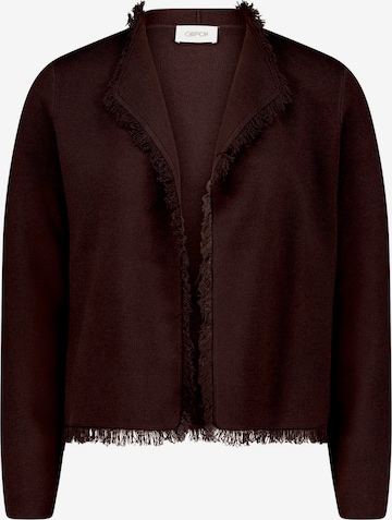 Cartoon Strickjacke in Braun: Vorderseite