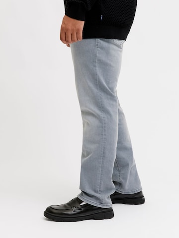 Regular Jean JACK & JONES en gris