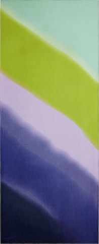 DesigualŠal - miks boja boja: prednji dio