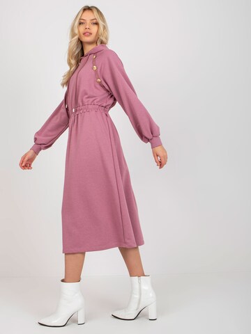 Madnezz House Kleid in Pink