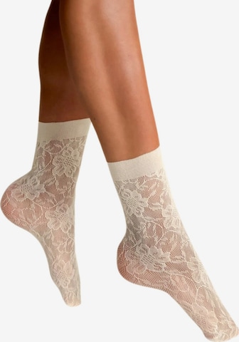 Sokisahtel Socks 'ROSA STILE sheer socks' in Beige: front