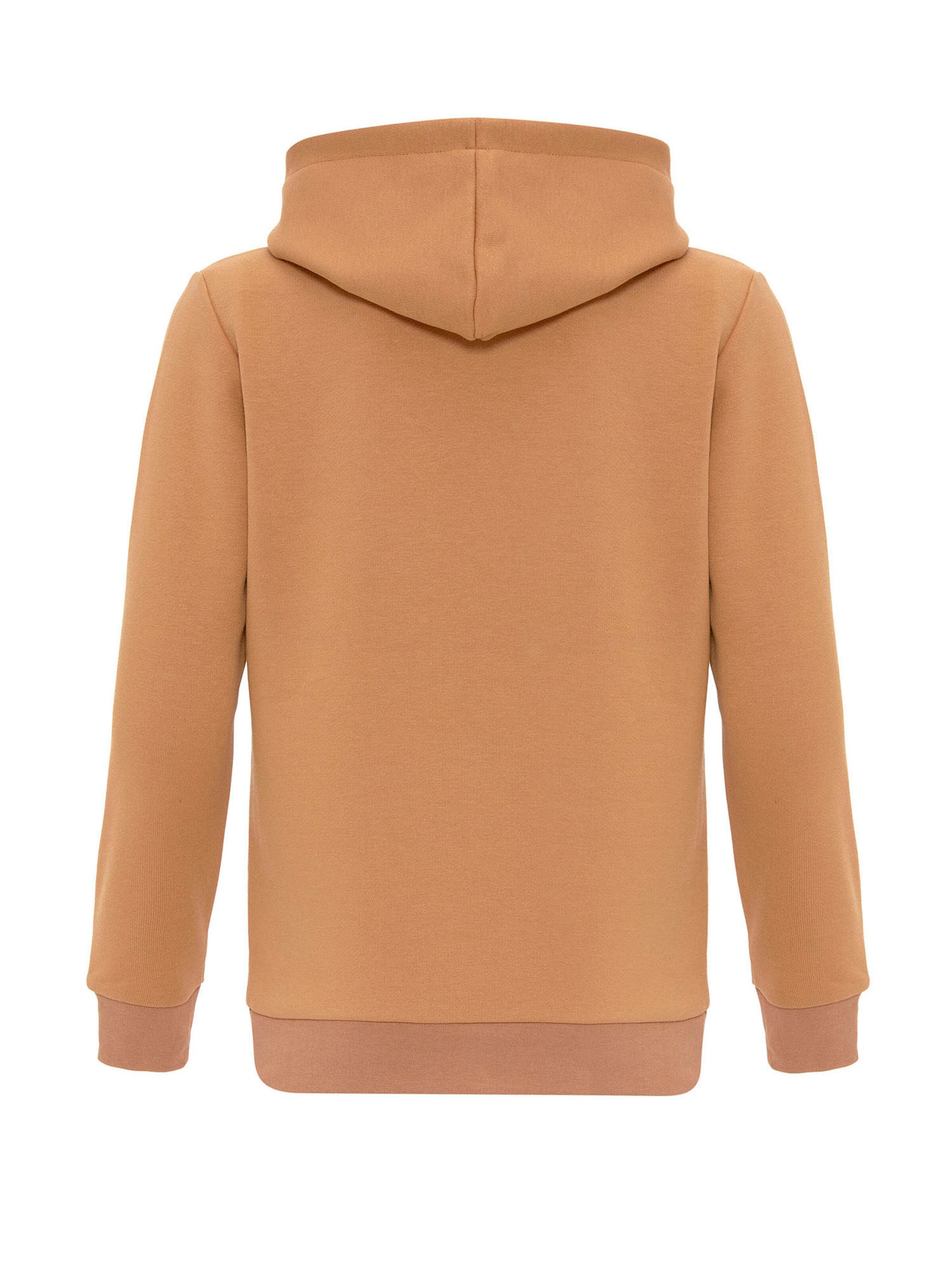 Williot Sweatshirt i brun