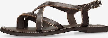 Sandales à lanières SACHA en marron : devant