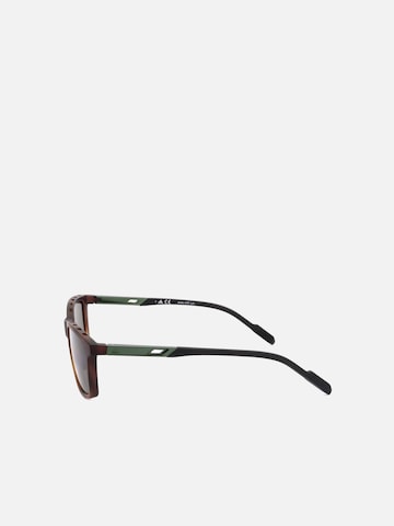 Adidas Sport Sunglasses in Brown