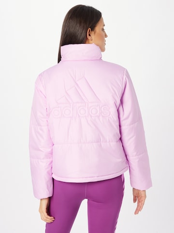 ADIDAS SPORTSWEAR Outdoorjacke \'Bsc Insulated\' in Lila | ABOUT YOU