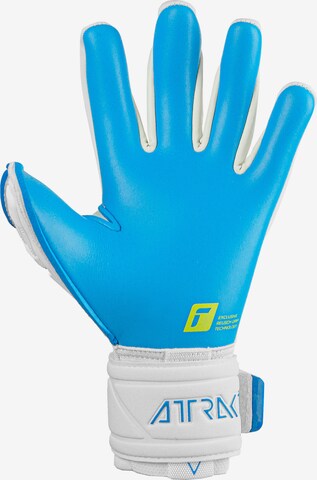 REUSCH Athletic Gloves 'Attrakt Freegel Aqua Windproof' in Mixed colors