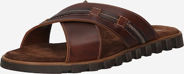 Bata Mules in Brown: front