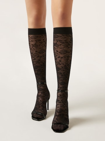 CALZEDONIA Knee High Socks in Black