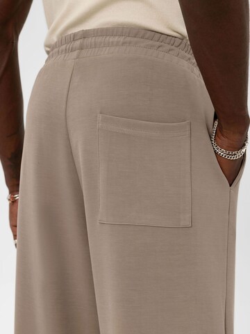 Loosefit Pantaloni 'Japanese Anemone' di VAMOS CLO in beige