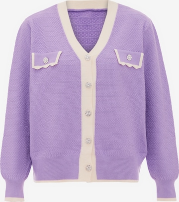 carato Knit Cardigan in Purple: front