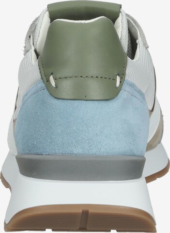 Sneaker bassa 'Miguel' di BRAX in grigio