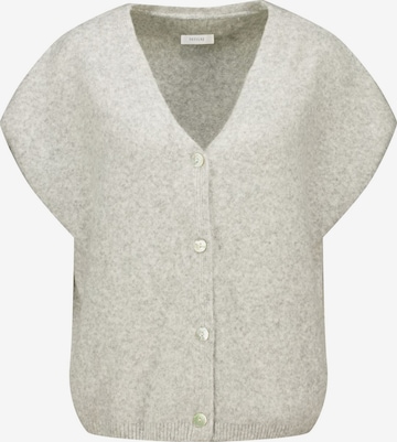 Veste mi-saison Deeluxe en gris : devant