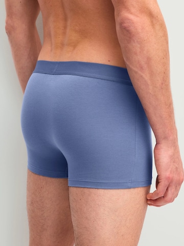 CALIDA Boxer shorts 'Cotton Code' in Blue