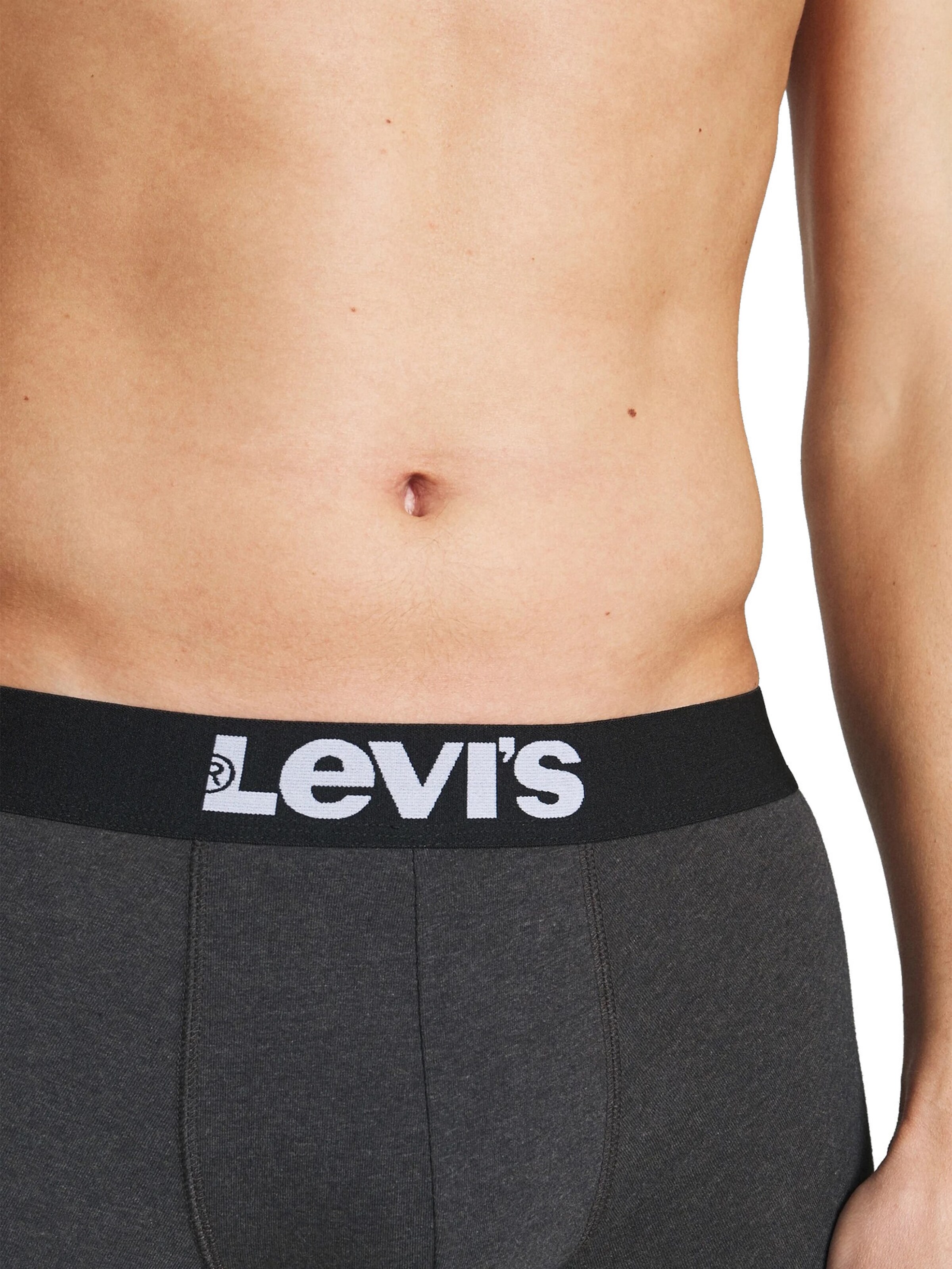 LEVI'S ® Boxer shorts in Grey