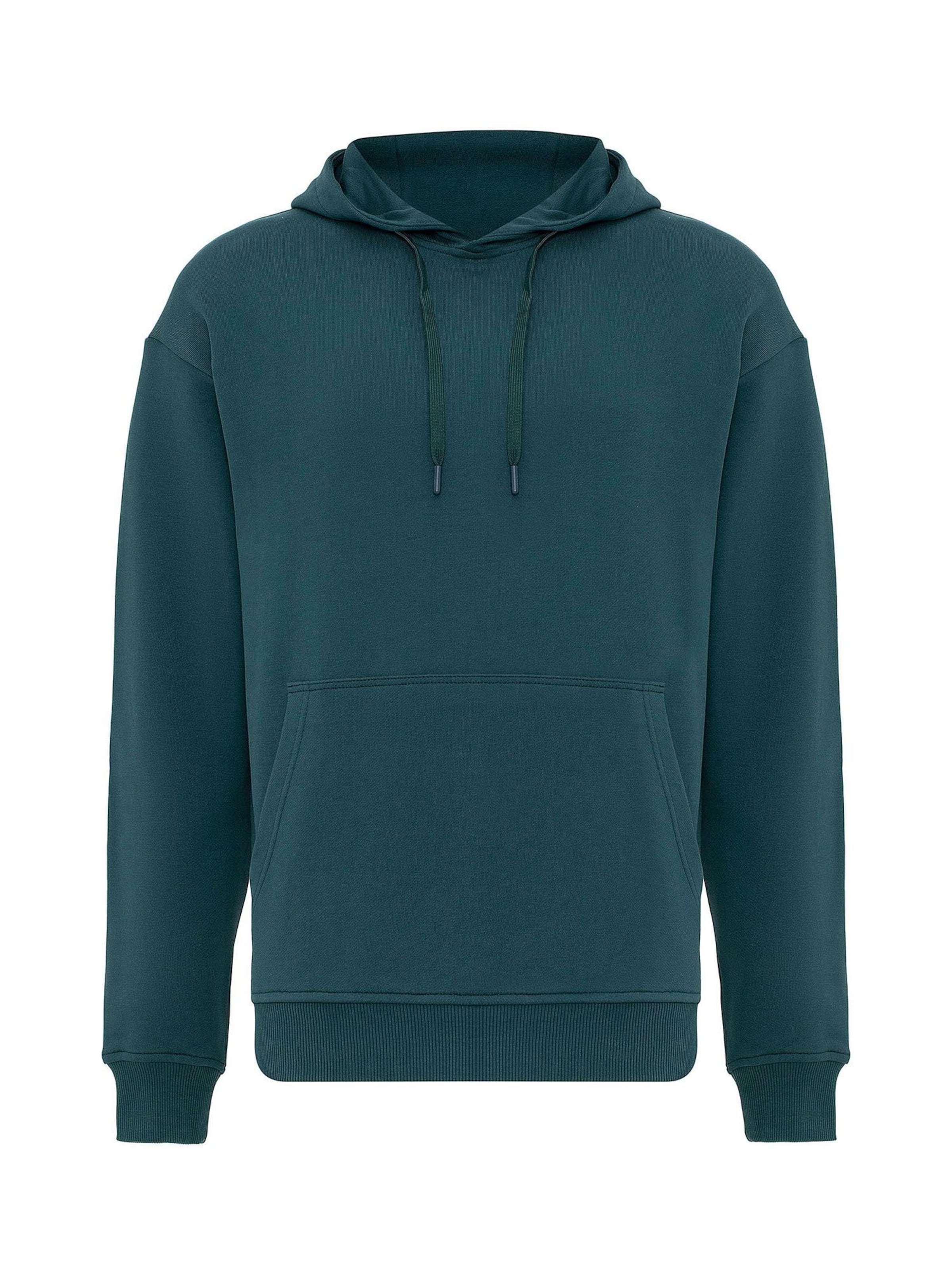 Jacey Quinn Sweatshirt in Grün: Vorderseite