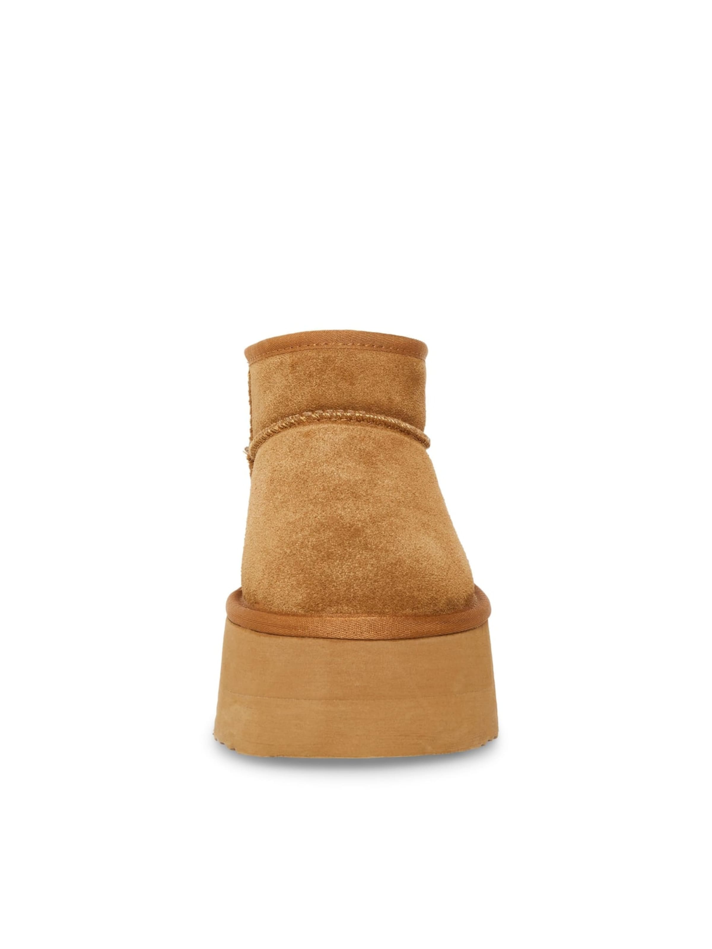 Stivale 'Campfire Tan Shoes' di STEVE MADDEN in marrone