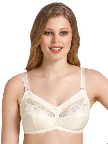 ANITA Minimiser Bra 'Safina' in Beige
