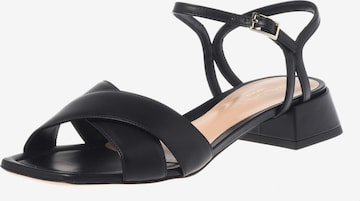 BALDININI Sandaal in Zwart: voorkant