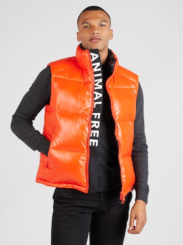 SAVE THE DUCK Vest 'AILANTUS' in Orange: front