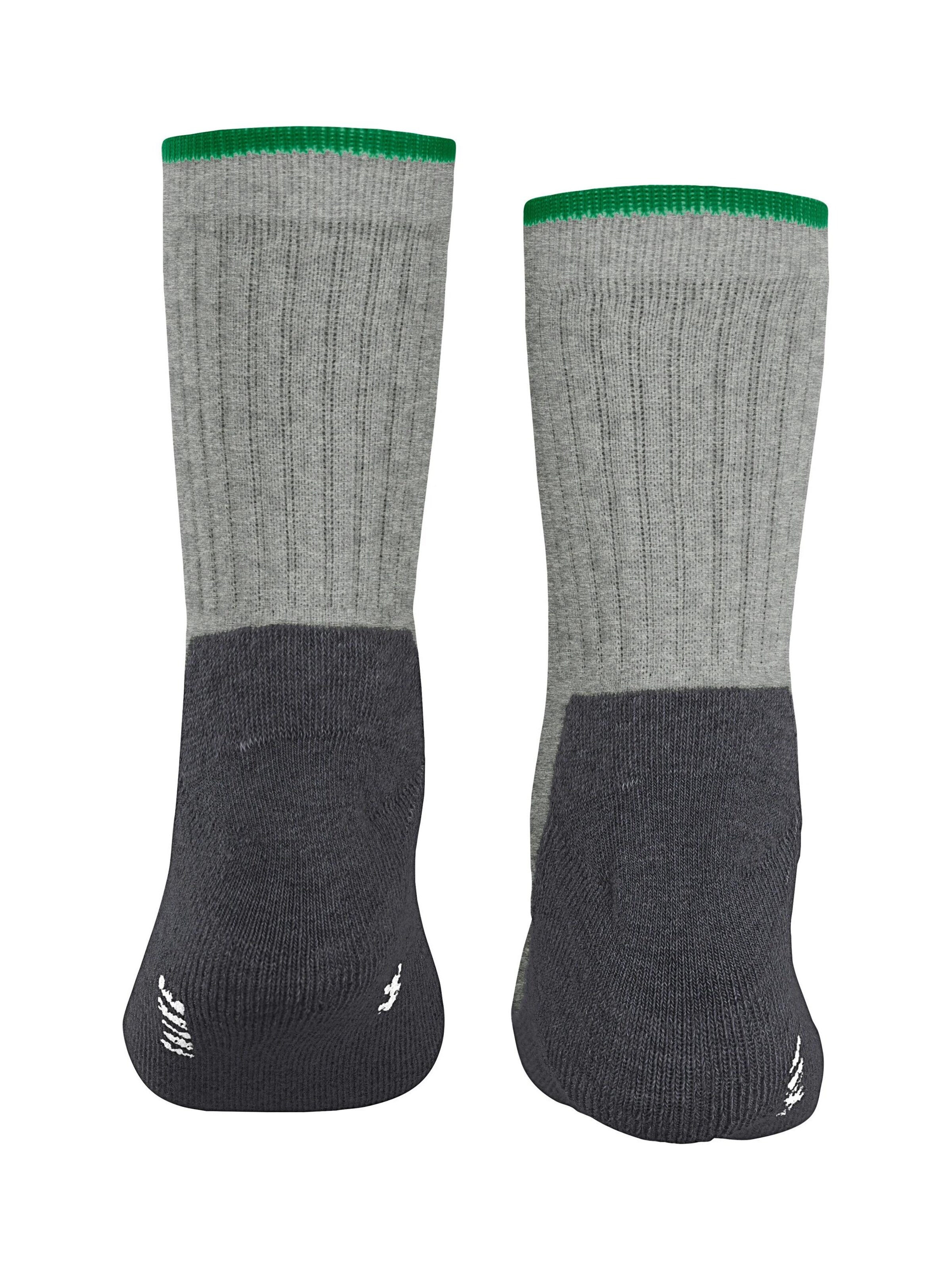 Chaussettes FALKE en gris