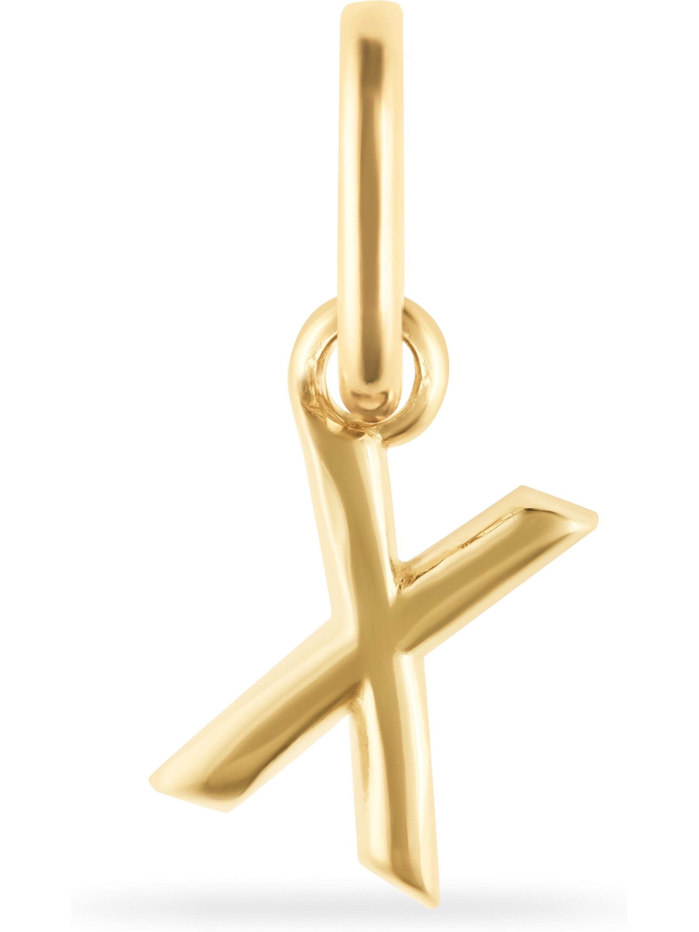 FAVS Anhänger in Gold: Vorderseite