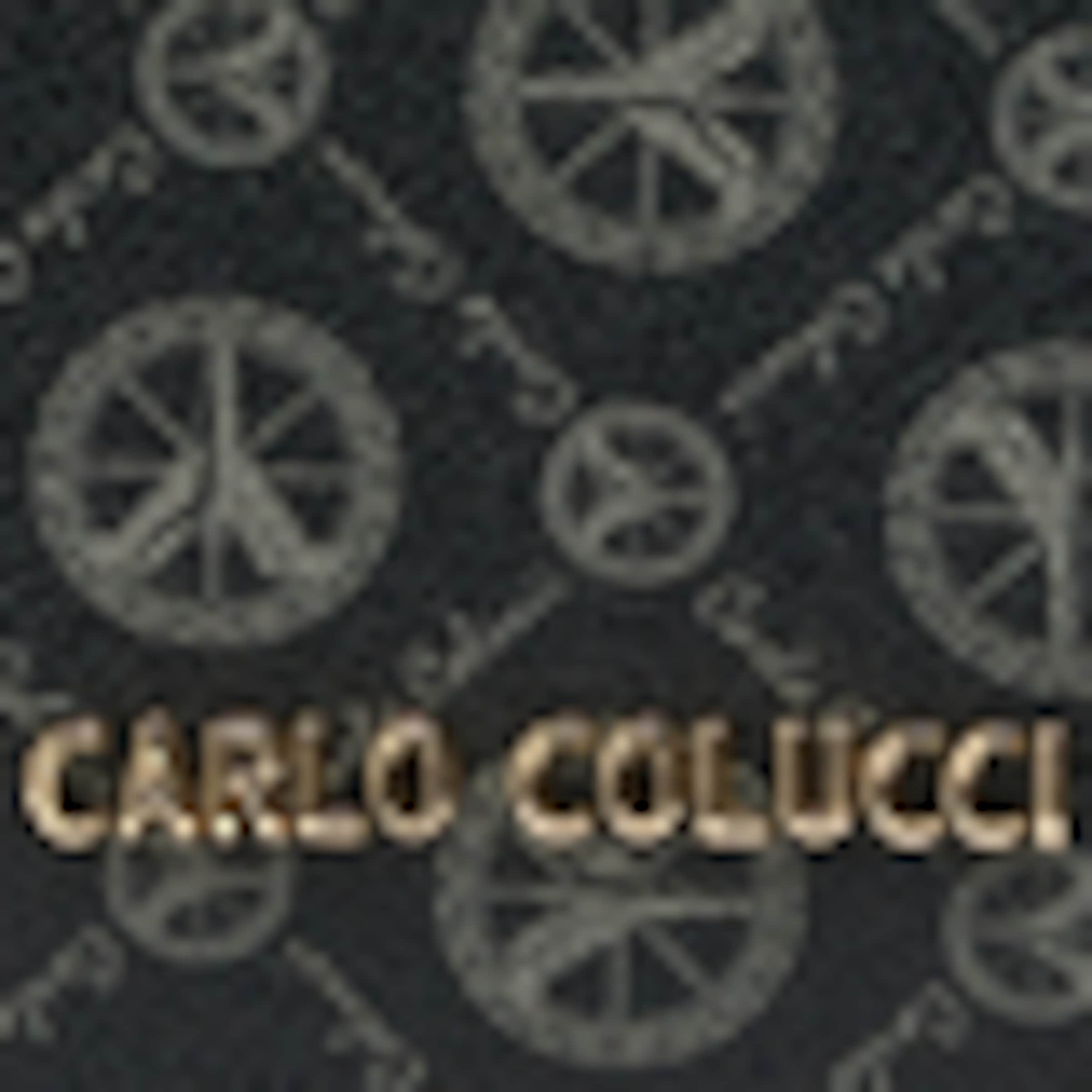 Carlo Colucci Portemonnaie 'DeGiorgi' in Schwarz