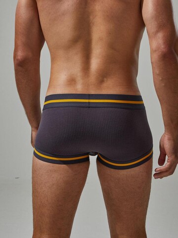 TAUWELL Boxershorts in Braun