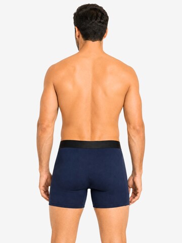 SITZTGUT Boxershorts‌‌ in Blau