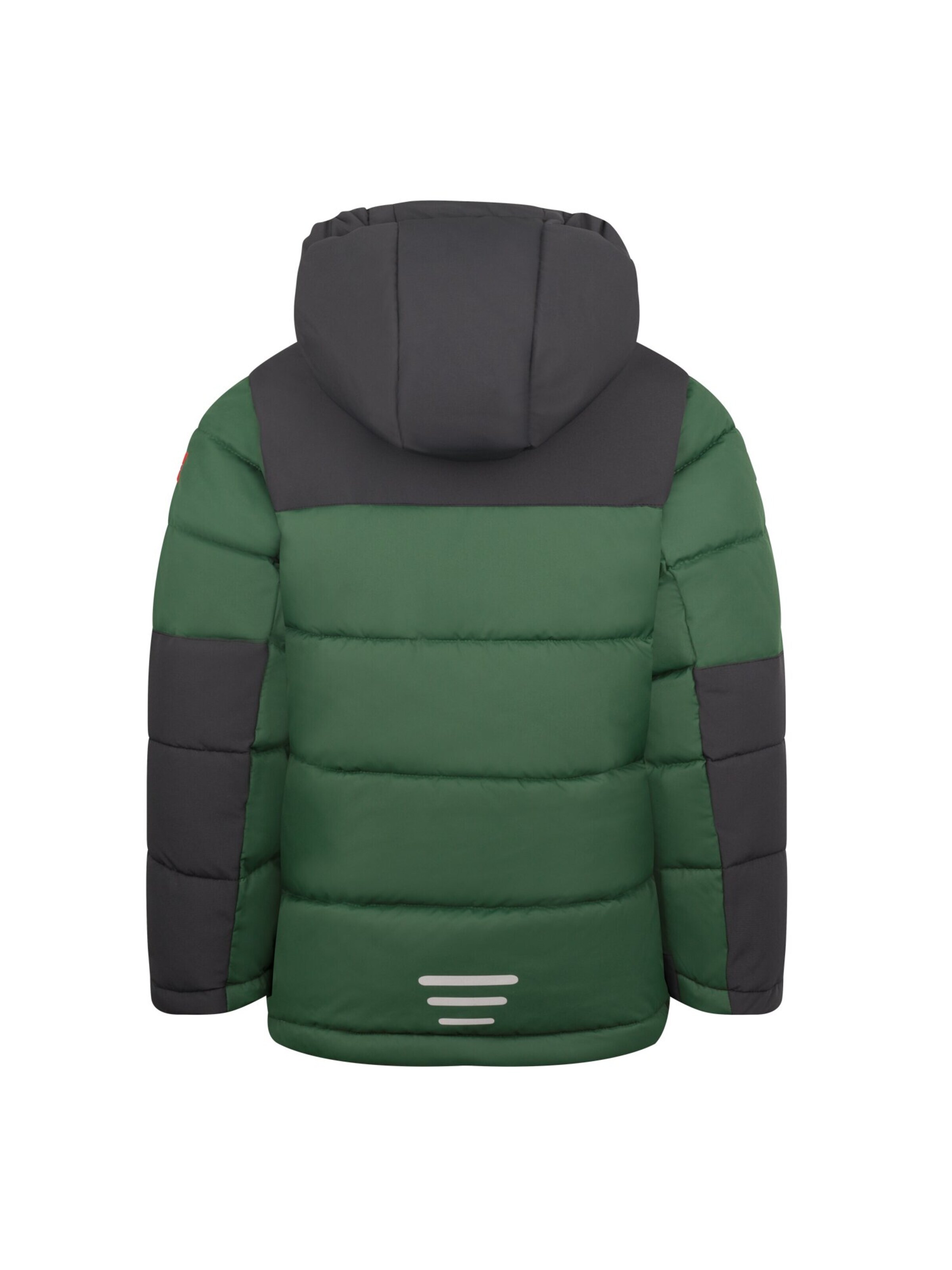 TROLLKIDS Winter Jacket in Green