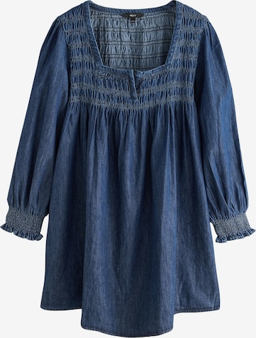 mėlyna Next Suknelė: priekis