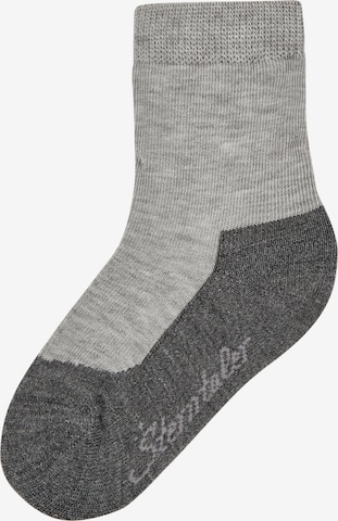 STERNTALER Sportsocken in Grau: Vorderseite