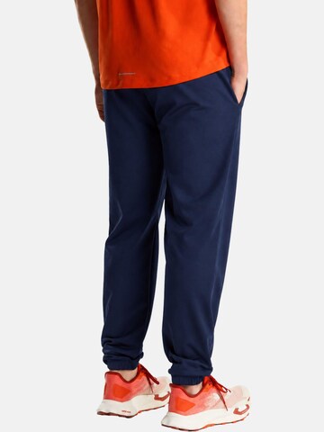THE NORTH FACE Regular Outdoorbyxa 'THE NORTH FACE M EVO SD REG JOGGER PANTALONE TUTA' i blå