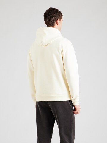 HOLLISTER Sweatshirt in Brown
