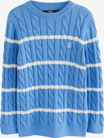 mėlyna Next Megztinis: priekis